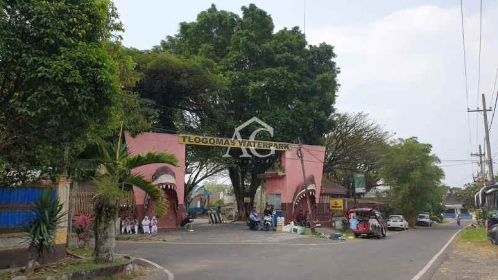 tlogomas