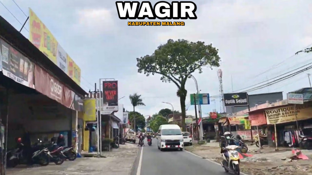 wagir