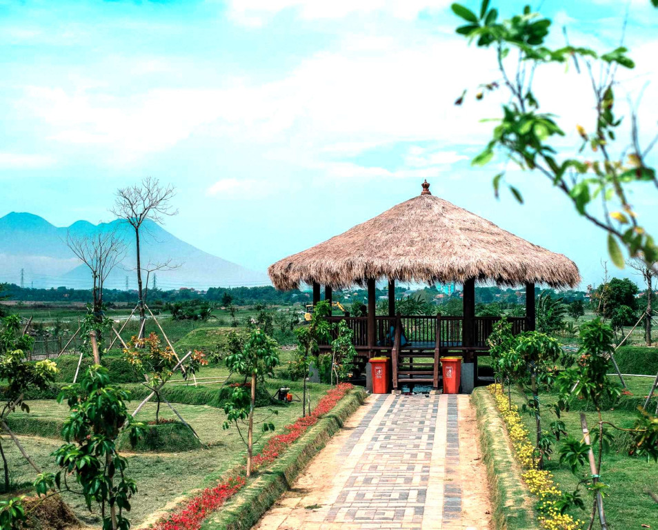 jeruk surabaya