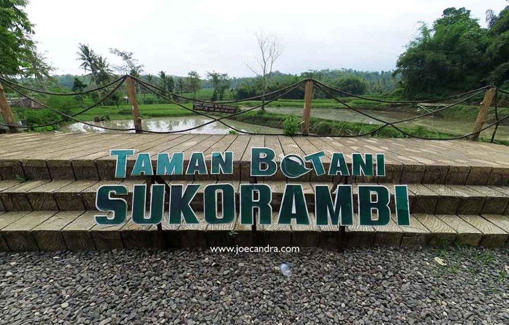 sukorambi kabupaten jember