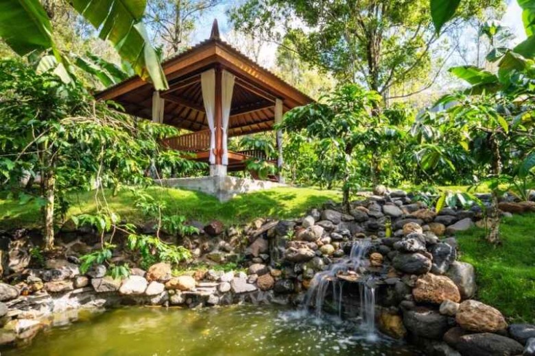 Trik Memanfaatkan Lahan Kosong Menjadi Cuan