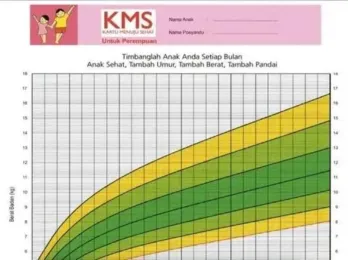 Penting! Berikut Pengertian, Kegunaan dan Cara Cek KMS Online