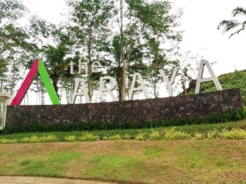 The Araya