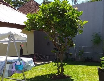 Rumah Dijual di Jl Malabar Klojen