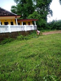 Tanah Dijual Murah Bonus Bangunan Rembang Pasuruan