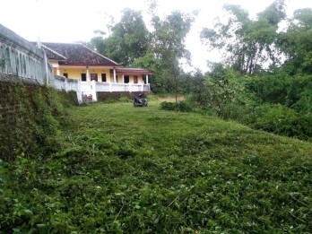 Tanah Dijual Murah Bonus Bangunan Rembang Pasuruan