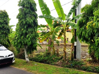 Tanah Dijual Yeh Gangga Tabanan Bali