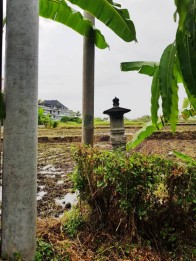 Tanah Dijual Yeh Gangga Tabanan Bali