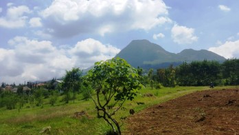Tanah Hook Dijual di Sisir Kota Batu