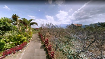 Tanah Perkebunan Dijual di Bulukerto Bumiaji Batu