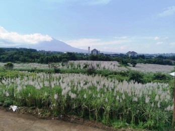 Tanah Luas Dijual di Bandulan Malang