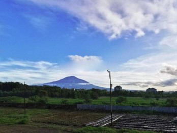 Tanah Luas Dijual di Pandanlandung Malang