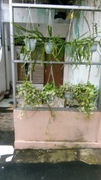 Jual Rumah 2 Lantai Area Strategis