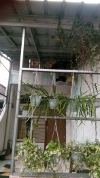 Jual Rumah 2 Lantai Area Strategis
