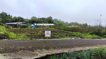 Tanah Dijual Sumbergondo Batu