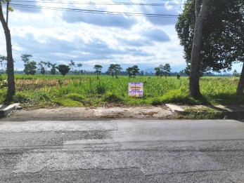 Tanah Poros Jalan Raya Mayjen Sungkono Buring