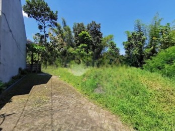 Tanah cocok untuk hunian yang tenang dan asri di Dieng Malang