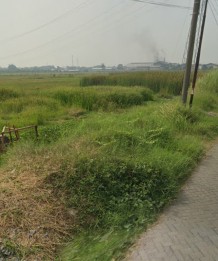 Jual Tanah 11,25 Ha Cocok untuk Pabrik / Gudang di Jl Patimura Pasuruan