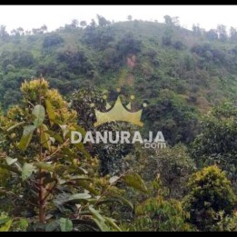 Tanah Dijual Kediri Kabupaten -5000m²- Parang