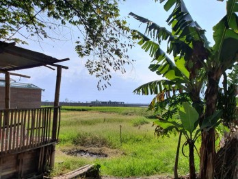 Tanah Sawah Dijual Jl Raya Bamban Asrikaton Pakis