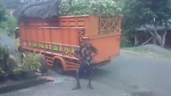 Kebun pisang pakis malang(Madewo apples)