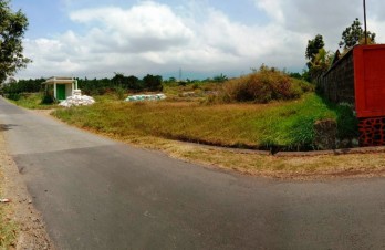 Tanah Strategis Luas di Dieng Dau Tidar Bandulan