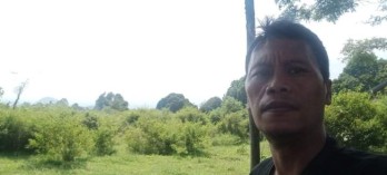Tanah dekat bns.rs baptis batu(Madewo apples)
