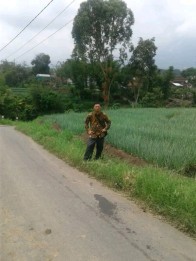 Tanah di kota wisata batu(Madewo apples)