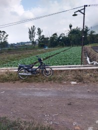 Tanah di kota wisata batu(Madewo apples)