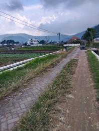 Tanah di kota wisata batu(Madewo apples)