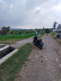 Tanah di kota wisata batu(Madewo apples)