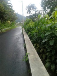Tanah ponpes Al izah kota batu(Madewo apples)
