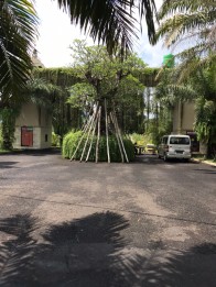 tanah di desa dauhwaru negara kabupaten jembrana bali