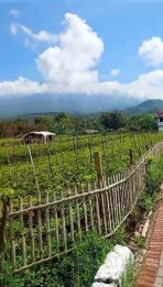 Dijual Tanah di Jl Diponegoro Tulungrejo Bumiaji Kota Batu