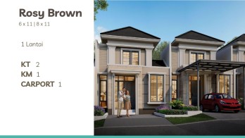 Rosy Brown