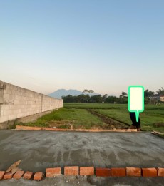 Tanah