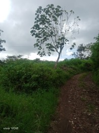 Tanah dekat kings park.puri indah kota batu(Madewo apples)