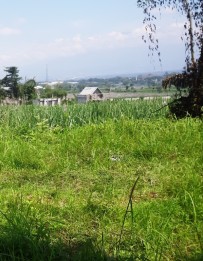 Jual Tanah SHM 11.980m2 di kawasan Industri &
