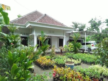 RUMAH NGADILUWIH KAB KEDIRI
