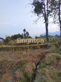 Tanah Bonus Gudang & Kantor Poros Jalan Raya Prigen-Pandaan