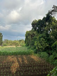 Tanah dekat hotel wisata kota batu(Madewo apples)