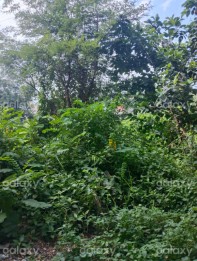 Tanah 1600m di poros jalan Daerah Sulfat GMK02738
