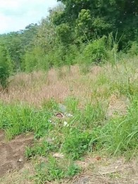 Tanah 245 m2 View Pemandangan Asri di Dau Malang