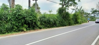 Tanah Strategis 30.000 m2 di Sawiran Nongkojajar Pasuruan GMK02817