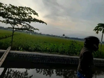 Tanah dekat GOR Kanjuruhan malang(Madewo apples)