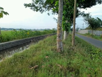Tanah dekat GOR Kanjuruhan malang(Madewo apples)