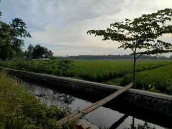 Tanah dekat GOR Kanjuruhan malang(Madewo apples)