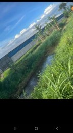 Jual kandang