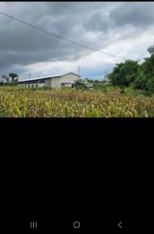 Jual kandang