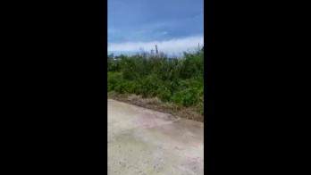 TANAH KAWASAN INDUSTRI TENGSAW CITEUREUP